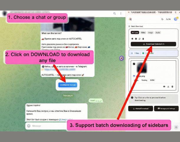 TG Downloader Batch Download Feature